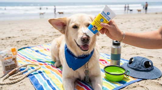 Dog-Friendly Sunblock: Protecting Your Pup’s Sensitive Skin