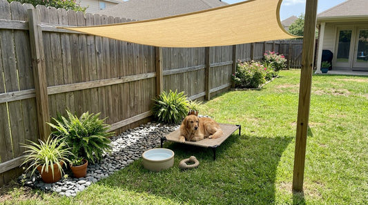 How to Create a Pet-Safe Shade Corner in Your Yard
