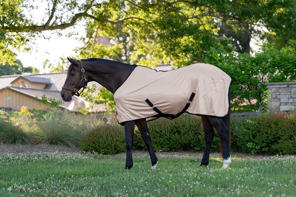 Horse Blankets & Sheets