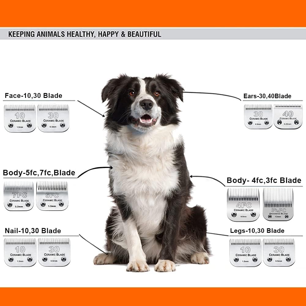 10 Blade Dog Grooming Clipper Blades Compatible with Andis Dog Clippers,Detachable Stainless Steel Blade,Size 10, 1/16-Inch Cut Length