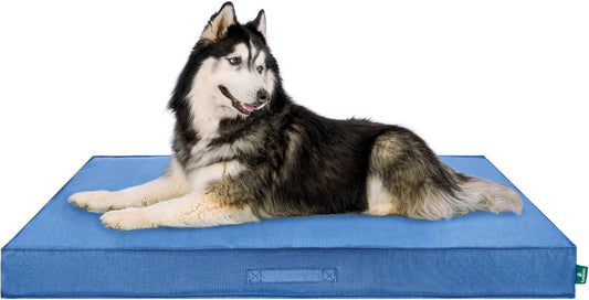 FurHaven Cooling Dog Bed – XXL Foam Mattress for Joint Pain Relief, Waterproof Liner, Removable Washable Cover, Durable for Outdoor Use, Deluxe Grid Indoor/Outdoor Bed – Blue, Jumbo Plus