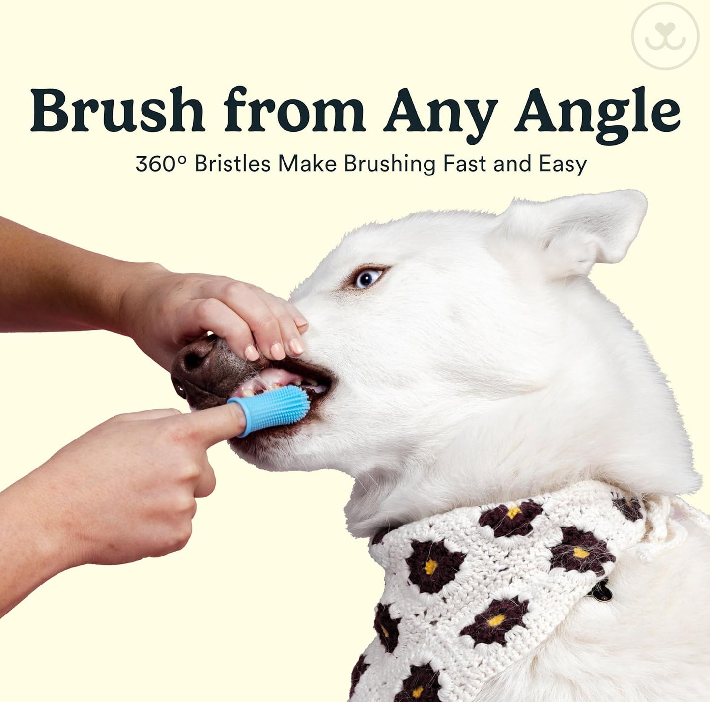 Jasper Dog Toothbrush, 360º Dog Tooth Brushing Kit, Cat Toothbrush, Dog Teeth Cleaning, Dog Finger Toothbrush, Dog Tooth Brush for Small & Large Pets, Dog Toothpaste Not Included, 4-Pack Blue