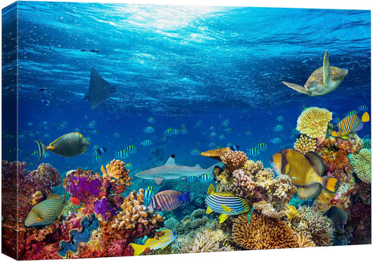 wall26 Canvas Print Wall Art Vibrant Sunshine Ray Coral Reef Turtle Fish Nature Animals Photography Realism Rustic Scenic Landscape Wilderness Colorful for Living Room, Bedroom, Office - 12"x18"