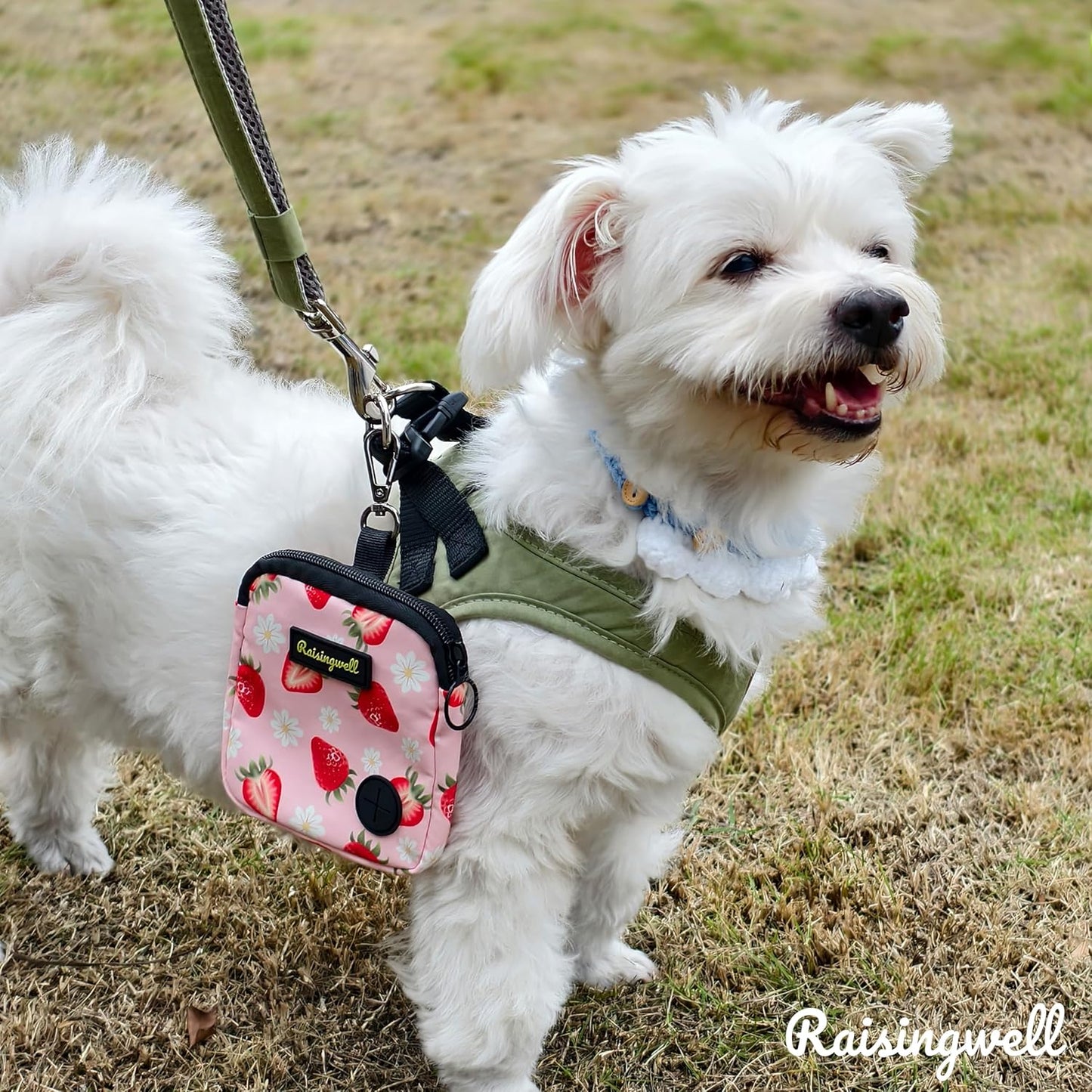 Dog Treat Pouch for Pet Walking and Training with Clicker Poop Bags Small Fanny Zipper Pack Holder for Puppy Snack Dispenser Kit for Leash and Outdoor Use (Strawberry)